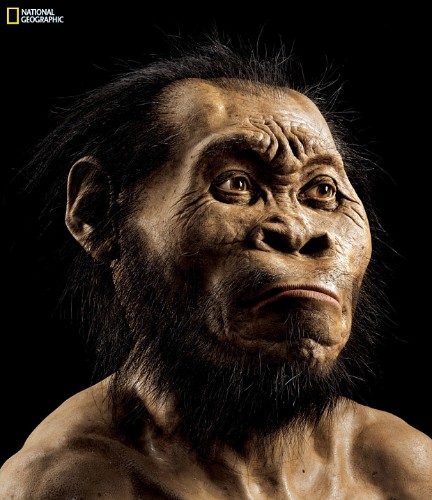 Homo naledi, a new species of human, discovered in a cave in South Africa