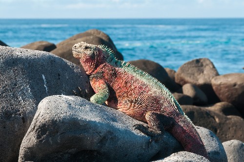 The ultimate travel bucket list: 31 things to do in your lifetime