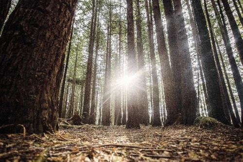 12 fantasy film locations that really exist - in New Zealand