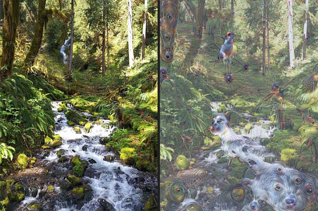 Google's artificial intelligence interprets photos as animal faces, with creepy results