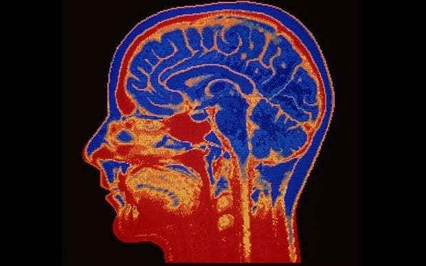 Scientists, not poets, can tell you the truth about love