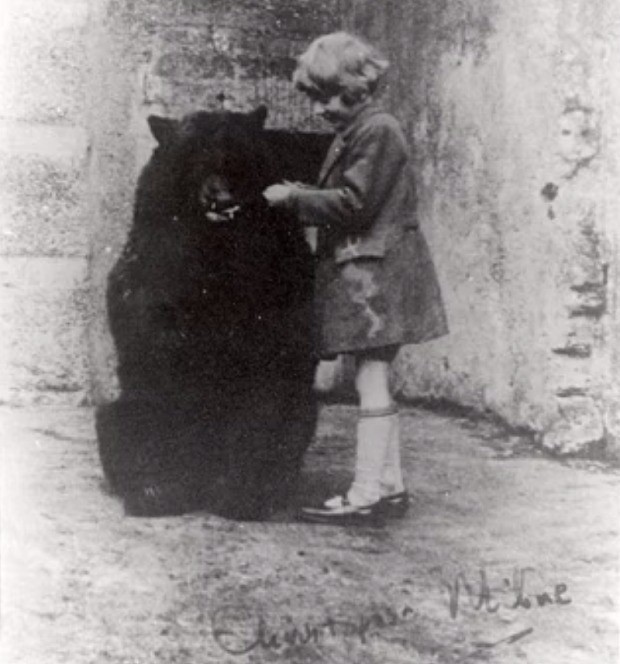 Bear who inspired Winnie the Pooh had tooth decay because 'Christopher Robin' fed it honey
