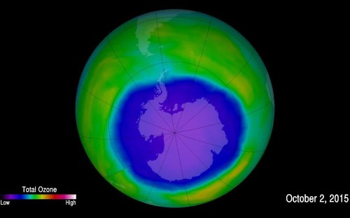 Hole in ozone layer is closing and will be 'healed' by 2050, scientists say