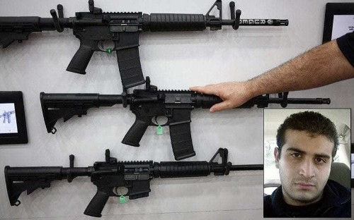 Assault rifle used in Florida shooting drives US gun control debate