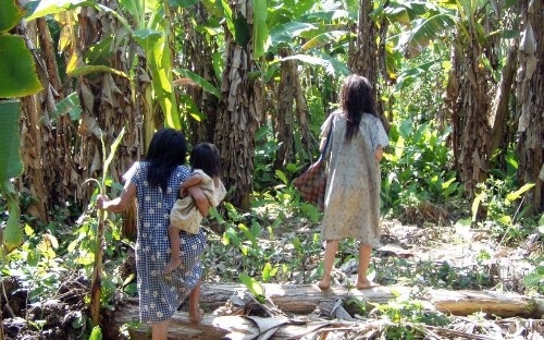 South American tribe found to have the healthiest hearts ever studied