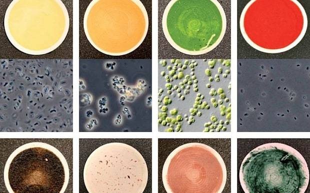 Alien colour chart could trace extraterrestrial life