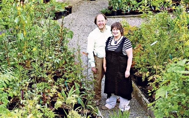 Weird and wonderful exotic plants to grow in your garden