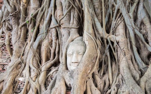 Places where nature has won