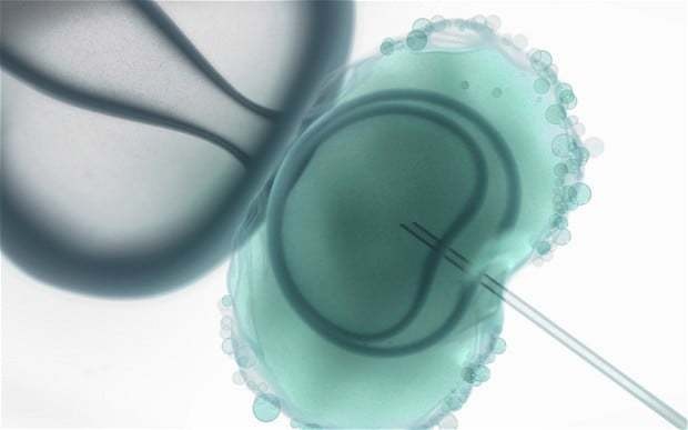 How mitochondrial donation involved in three parent babies works