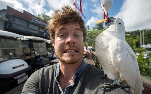 Real life Dr. Dolittle Allan Dixon is animal selfie king, in pictures - Telegraph