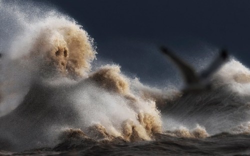 Lake Erie's wild waves caught on camera by Dave Sandford