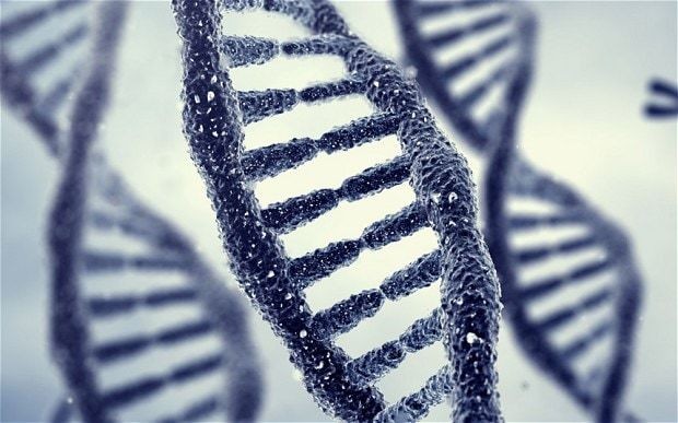 Phobias may be memories passed down in genes from ancestors