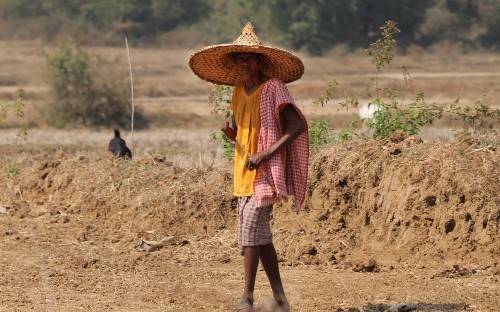 India to evict 1 million tribal forest dwellers after campaign by wildlife protection groups