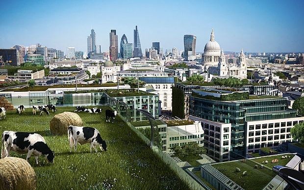 The future of Britain? floating cities and high-rise farms