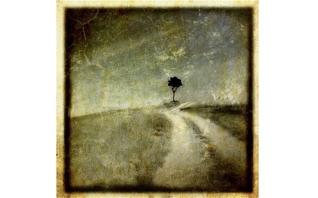 First iPhone photography exhibition opens in Ireland