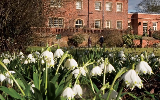 Best snowdrops for galanthophiles
