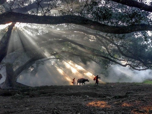 Incredible photos you won't believe were taken on an iPhone
