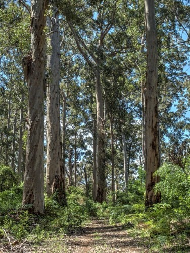 The world's greatest walking trails