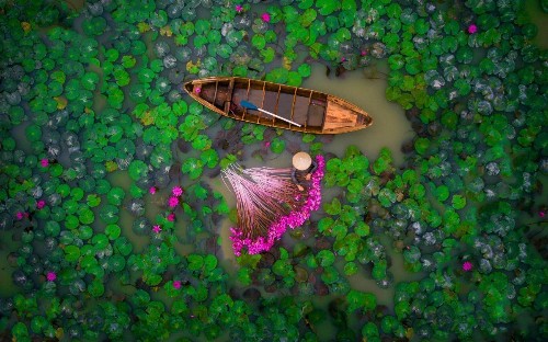 Bird's-eye view: The best drone photographs from 2017