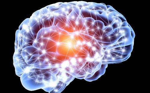 Brain never stops growing, scientists find, as elderly shown to have same number of new neurons as teens