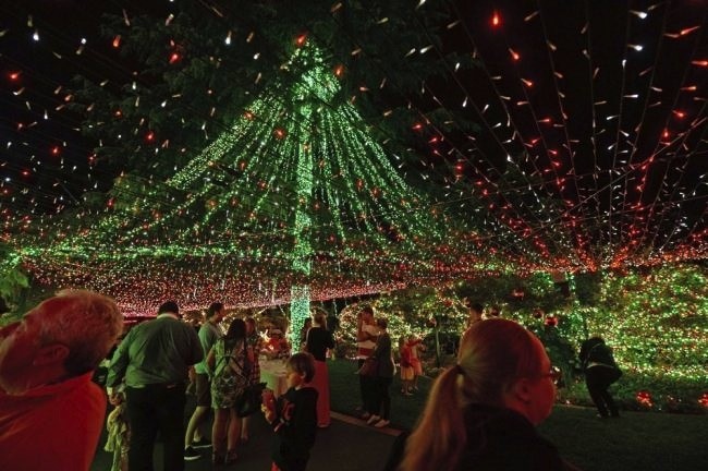 Man Decorates House With 502,165 Holiday Lights, Shatters World Record