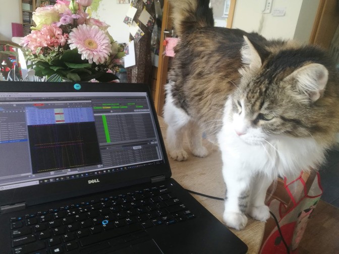 One Thing Space Agencies Must Watch Out for Now: Cats