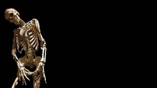 The Girl Who Turned to Bone
