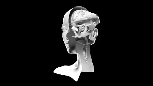 The Pentagon’s Push to Program Soldiers’ Brains
