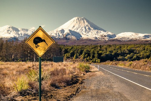 New Zealand’s War on Rats Could Change the World