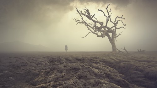 The Most Honest Book About Climate Change Yet