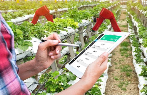 The Internet of Growing Things