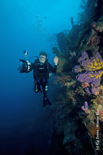 The Woman Who Has Spent Almost a Year of Her Life Underwater