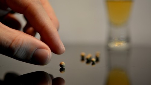 Is the Placebo Effect in Your DNA?