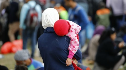 First Children Are Smarter—but Why?