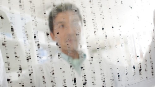 What If (Almost) Every Gene Affects (Almost) Everything?