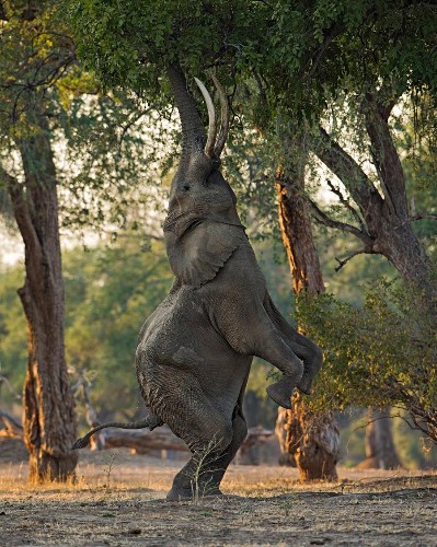 National Geographic Photo Contest 2013, Part II