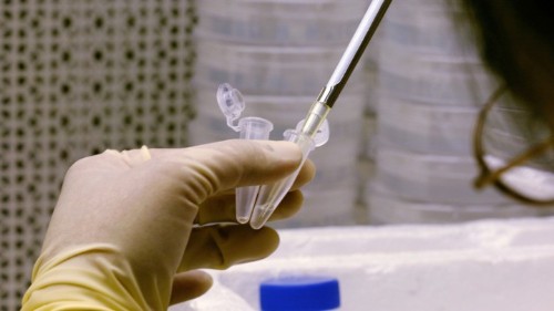 Can Genetic Counselors Keep Up With 23andMe?