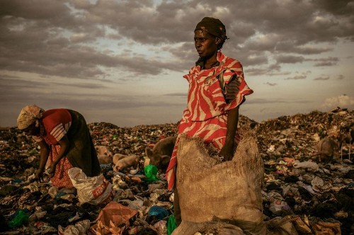 Winners of the National Geographic Photo Contest 2012