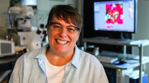 The Fight for Corals Loses Its Great Champion