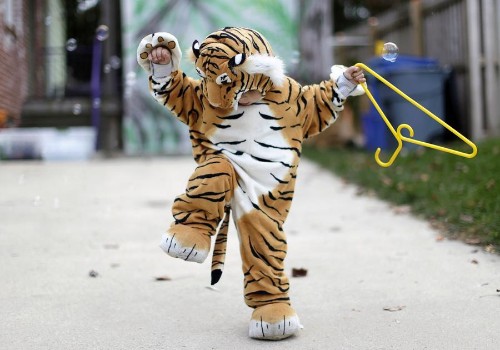 Photos of the Week: 11/1-11/7