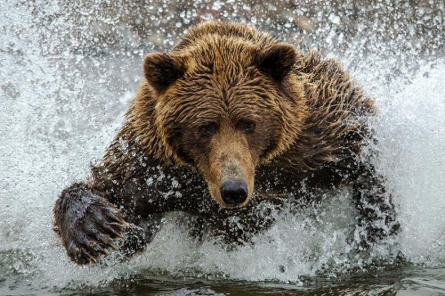 Smithsonian Magazine's 2013 Photo Contest