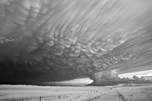 The 2018 Sony World Photography Awards