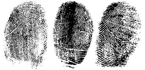 The Many Causes of America’s Decline in Crime