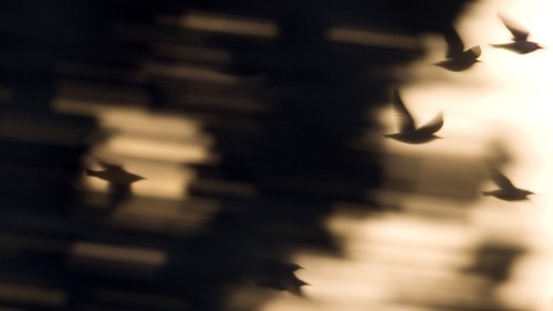 The Dark Knight of the Soul