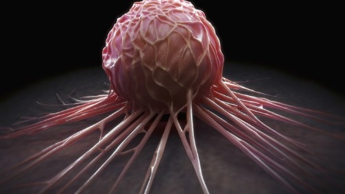 The New Gene-Editing Technique That Reveals Cancer’s Weaknesses