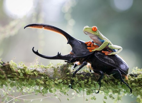 The 2014 Sony World Photography Awards