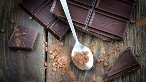 The Race to Save the World's Chocolate