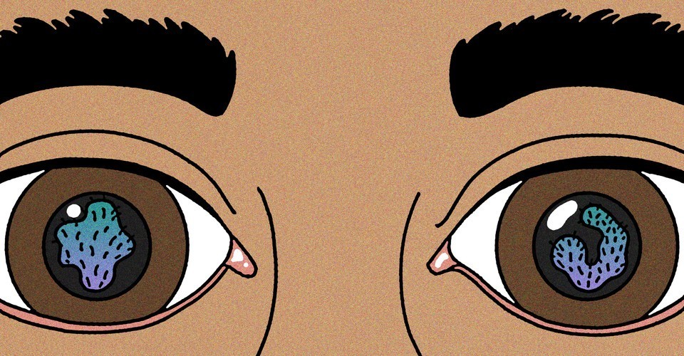 The Search for the World’s Simplest Animal