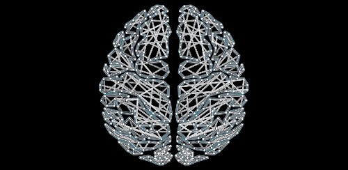 Secrets of the Creative Brain