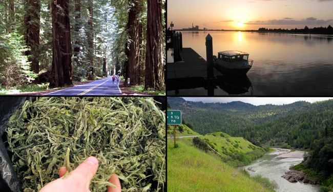 California's New Pot Growers: Not at All Earth-Friendly